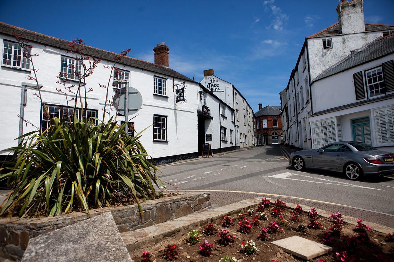 The Tree Inn Bude Exterior foto