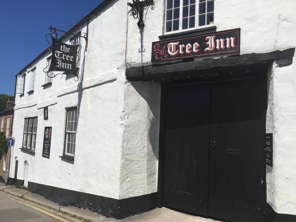 The Tree Inn Bude Exterior foto