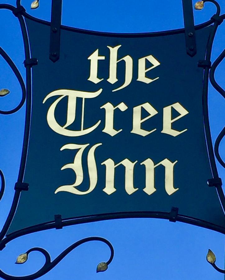 The Tree Inn Bude Exterior foto